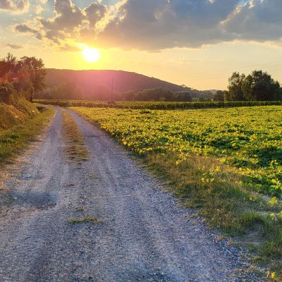gite de groupe le Mas de Roux Coucher de soleil et paysages magnifiques